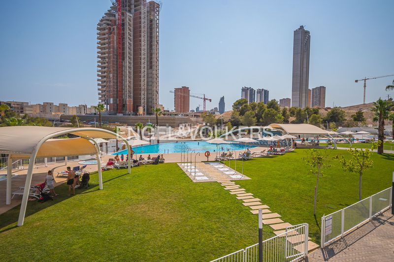 Foto cd9e03b8-6078-46e8-a333-1414a1a80899. Apartament amb aparcament piscina a Playa Poniente Benidorm