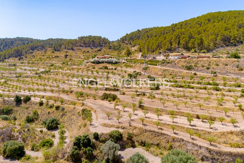 Foto dd898630-7d6a-4841-a704-409ac7774691. Xalet amb xemeneia piscina a Relleu