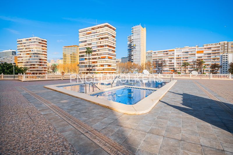 Foto 15cc4d31-20d7-4a95-91a1-523b40978dec. Pis a avenida de madrid 26 a Playa Levante Benidorm