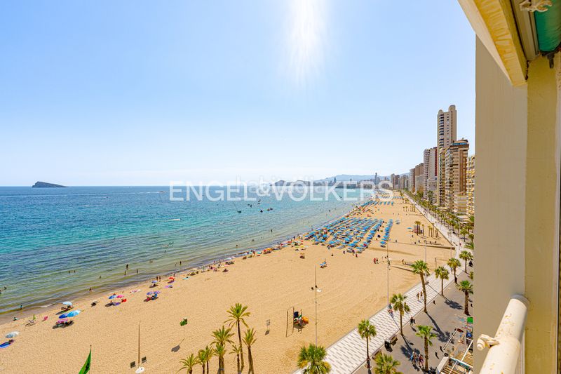 Foto d4b6e5ae-fda8-49b9-811d-02f621f9c352. Pis a avenida de madrid 26 a Playa Levante Benidorm