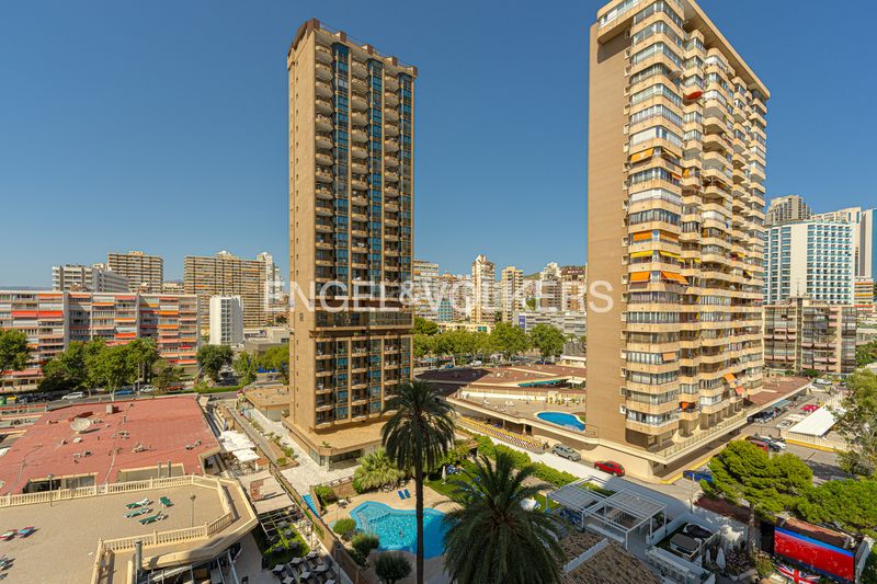 Foto fe137193-809e-4522-af0a-a4bbae1900b3. Pis a avenida de madrid 26 a Playa Levante Benidorm