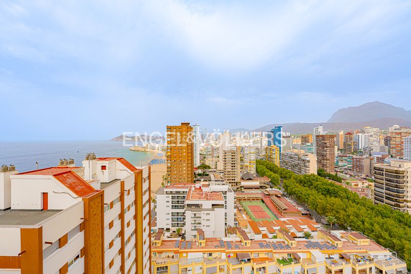 Foto e249fa11-a2c9-404b-81d2-a32350602cf8. Àtic amb aparcament a Playa Levante Benidorm