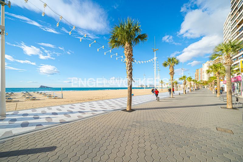 Foto 45128067-25fe-4834-97db-b5893dd7f73f. Pis a avenida de madrid 26 a Playa Levante Benidorm