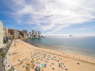 Rent Apartment  Avenida de madrid 22. Precioso apartamento reformado en primera línea de levante