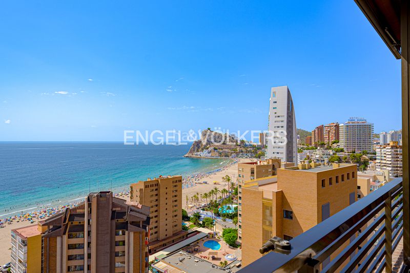Foto 3aa251f3-941f-4a32-be9f-498eeed54a7d. Àtic a calle vigo 5 a Playa Poniente Benidorm