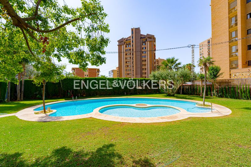 Foto 402bed46-7f5c-465d-80f0-c02739f0249f. Àtic a calle vigo 5 a Playa Poniente Benidorm