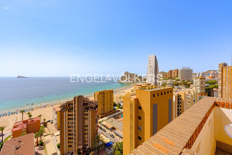 Foto 417f2029-ced8-40f1-8695-ee1bc8233fe2. Àtic a calle vigo 5 a Playa Poniente Benidorm