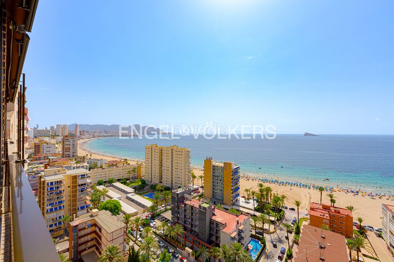 Foto 9e32d4b6-981c-4071-8eca-8cbe7da859c1. Àtic a calle vigo 5 a Playa Poniente Benidorm