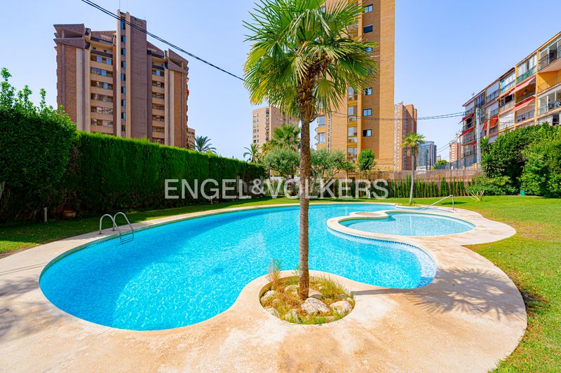 Foto cb1126d3-240e-4287-a8ec-565f8f09be4a. Àtic a calle vigo 5 a Playa Poniente Benidorm