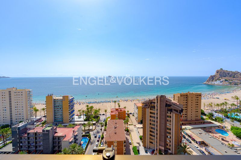 Foto d3c92352-1621-4477-9aed-881ab38dff82. Àtic a calle vigo 5 a Playa Poniente Benidorm