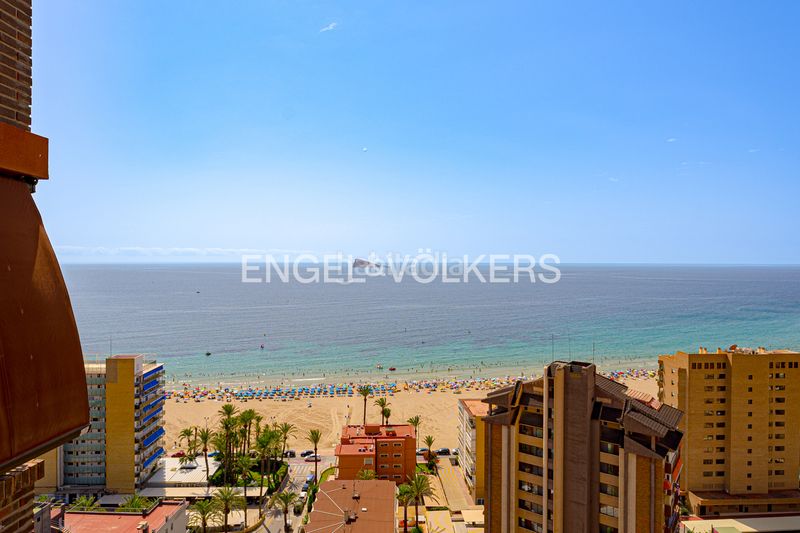 Foto fcdac273-58c3-4264-9fc3-0062cee47c63. Àtic a calle vigo 5 a Playa Poniente Benidorm