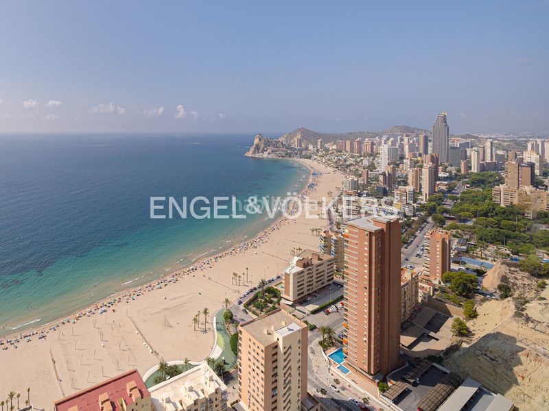 Foto 6fe04c08-3734-4b3c-9c74-c04e510fbeb0. Àtic amb piscina a Levante Alto Benidorm