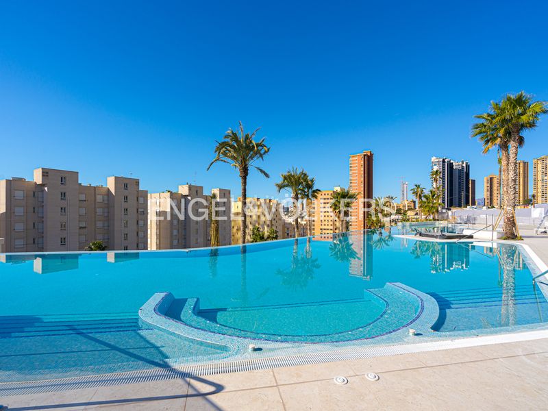 Foto cfb9d1a6-a57d-4800-af1e-060d9a881865. Àtic amb piscina a Levante Alto Benidorm