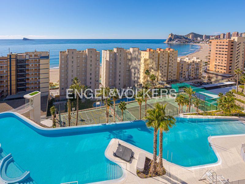 Foto d7bd5e83-fae1-40f5-83c6-4fe8b0e937f1. Àtic amb piscina a Levante Alto Benidorm