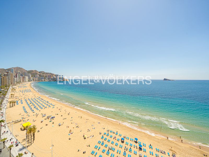 Foto 75e7059a-869d-4fc4-90ef-176c015c14fa. Apartament amb piscina a Levante Alto Benidorm