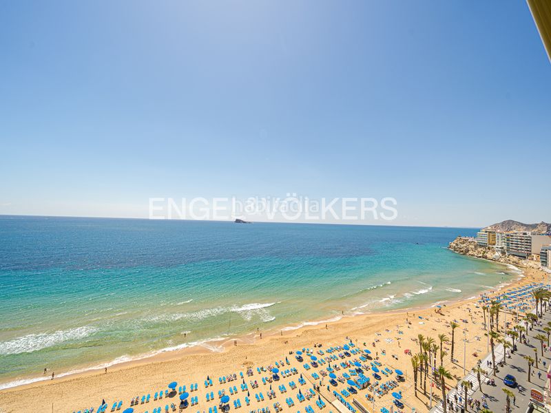 Foto b2c186ba-0c1d-4f85-aaab-14c594607aaa. Apartament amb piscina a Playa Levante Benidorm