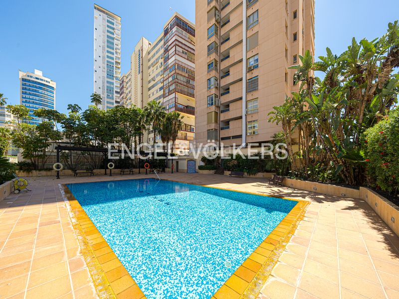 Foto b3d6bd81-7097-4109-9176-789d522238c4. Apartament amb piscina a Playa Levante Benidorm