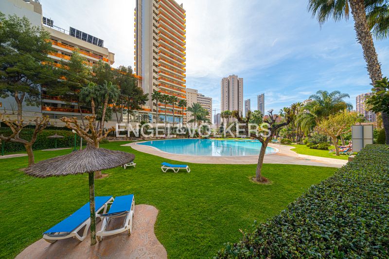 Foto 22e6e3b0-bd7f-4098-aef5-f0aa514fbbb8. Àtic amb piscina a Rincón Bajo Benidorm