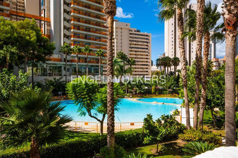 Foto 6c1c5dcb-4cb3-4d2f-8794-78e376360d72. Àtic amb piscina a Rincón Bajo Benidorm