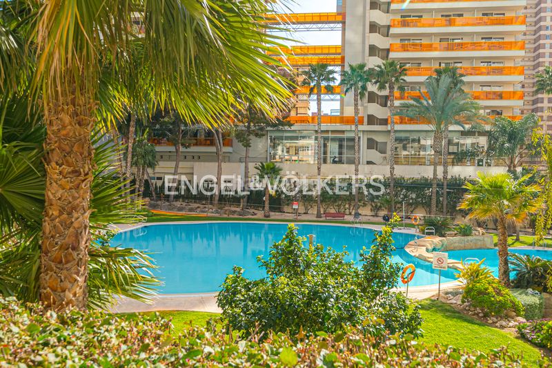 Foto c0046ad9-7b01-45fa-867c-7c2e31242542. Àtic amb piscina a Rincón Bajo Benidorm