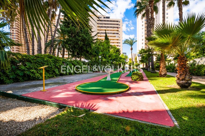 Foto 149eada3-7fbe-4c8e-9fec-a01005372ac1. Àtic amb piscina a Levante Alto Benidorm