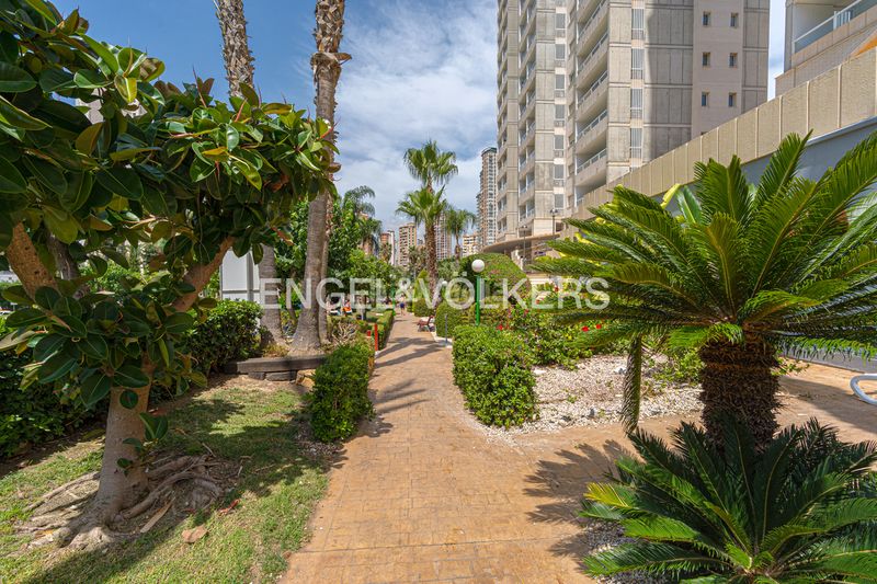 Foto ffea108e-d34f-435b-8082-760af477a3c3. Àtic amb piscina a Levante Alto Benidorm