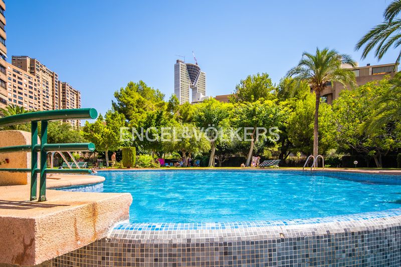 Foto 02dfbcbe-bdc6-42f5-83e2-2bd97a2e94f0. Apartament amb piscina a Playa Poniente Benidorm