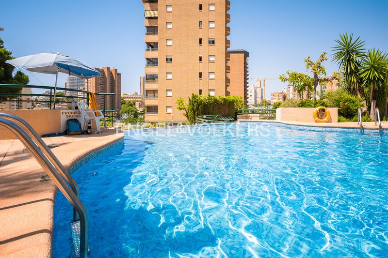 Foto 3556944a-5989-42cb-9e60-5234d9a43c17. Apartament amb piscina a Playa Poniente Benidorm
