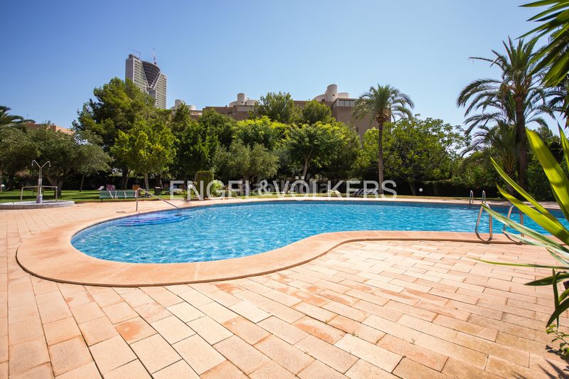 Foto 4e031e26-82af-426a-a0b5-0f330d1fd1cb. Apartament amb piscina a Playa Poniente Benidorm