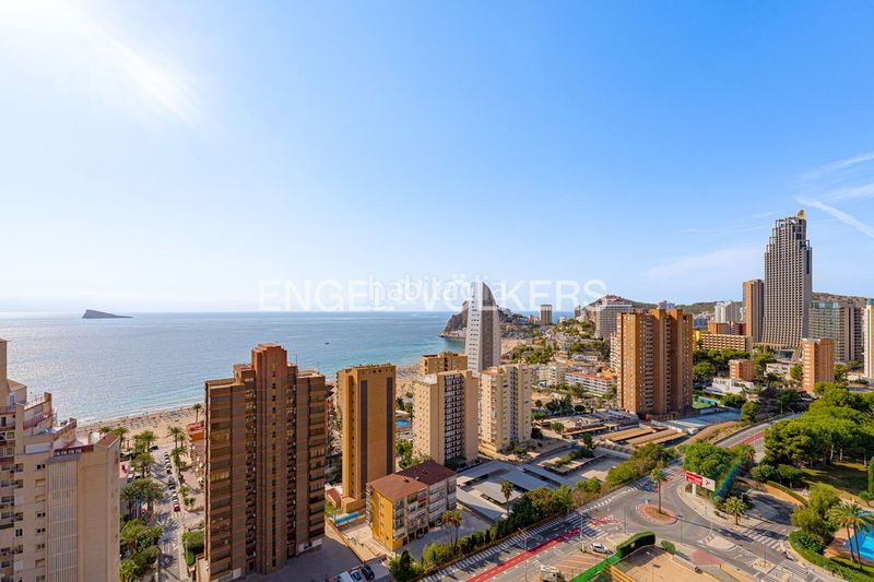 Foto 50894ba9-fad0-4295-a794-2720569db7e4. Apartament amb piscina a Playa Poniente Benidorm