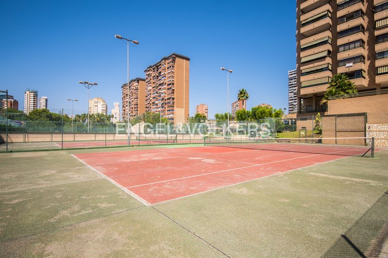 Foto 5ade6e2c-6c4d-40ce-bd52-8931d4a4bded. Apartament amb piscina a Playa Poniente Benidorm