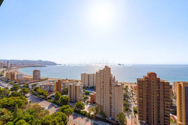 Foto 72609145-478a-449f-89b5-56b70d24119f. Apartament amb piscina a Playa Poniente Benidorm
