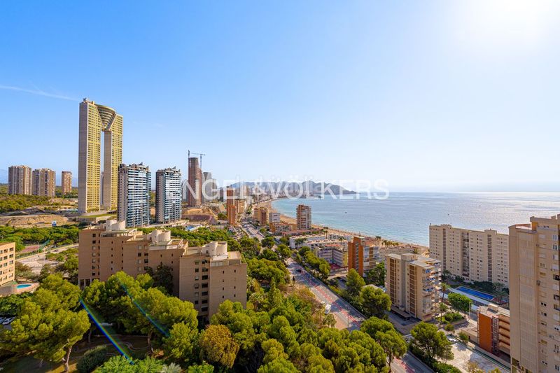 Foto ab022d85-8391-4612-a95f-7b509778f261. Apartament amb piscina a Playa Poniente Benidorm