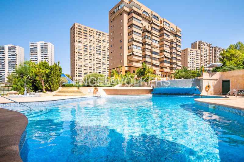 Foto e474c064-a909-43c1-bb39-f6d63c043c1e. Apartament amb piscina a Playa Poniente Benidorm