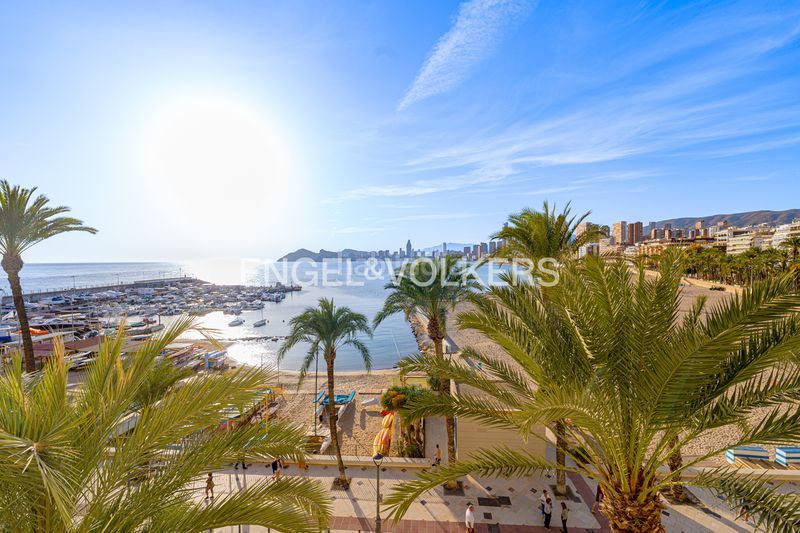 Foto e876a992-1828-4003-818e-1c7752c18c9f. Apartament a Casco Antiguo - Puerto Benidorm