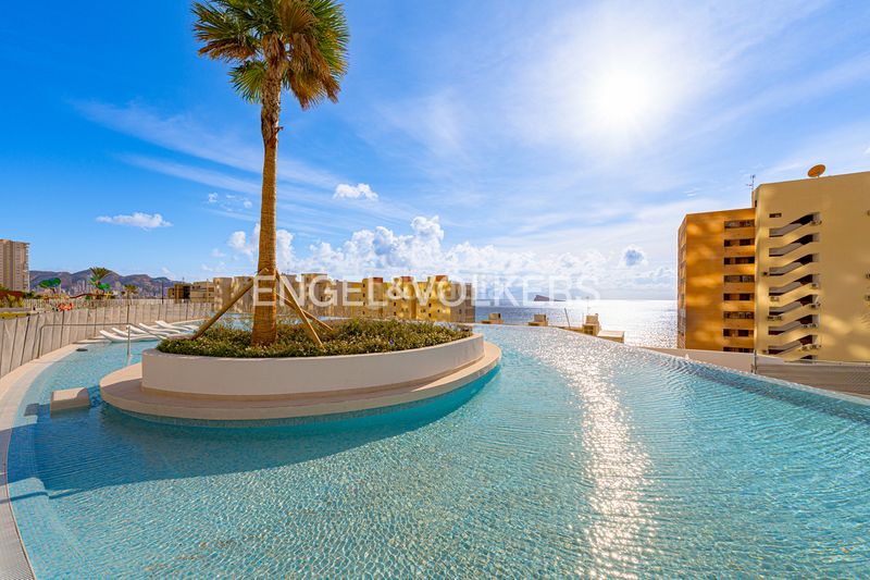 Foto 4faa2b06-f50e-45c2-aa9a-dbe09bcd7ad7. Apartament amb piscina a Levante Alto Benidorm