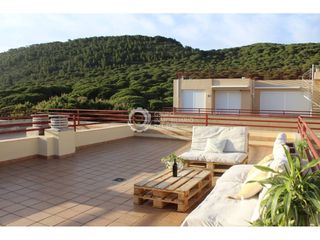 Rent Apartment in Los Caños de Meca. Alquiler temporada escolar de apartamento en los caños de meca,
