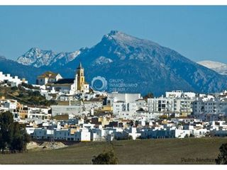 Pis  Calle blas infante. Piso bajo villamartin