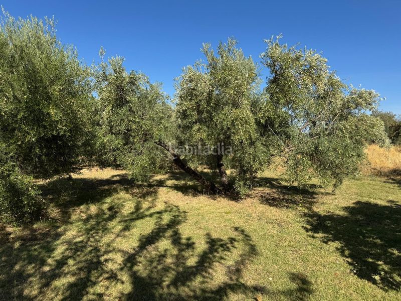 Foto 2f530640-5271-48ec-b200-8c0e40c2428f. Casa a carmen morcillo 74 a Gójar