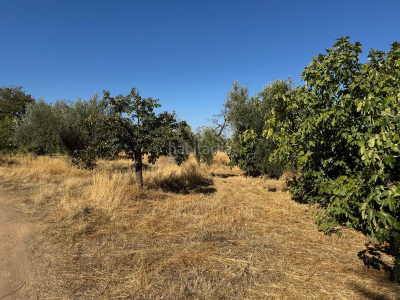 Foto a1ca37c6-45db-4aed-9e69-31b0ae3c35c8. Casa a carmen morcillo 74 a Gójar