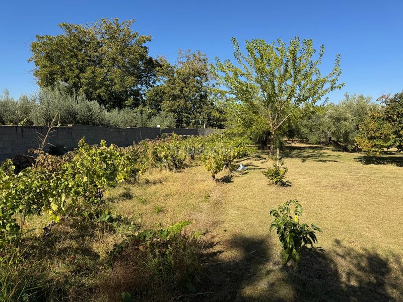 Foto c025adc5-1c21-4721-aa44-dfd4170d4421. Casa a carmen morcillo 74 a Gójar