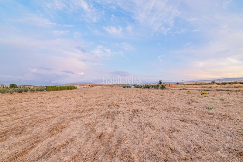Foto 452ceb92-3ae2-43b4-87c9-e837a560b9a6. Finca rústica a Escúzar