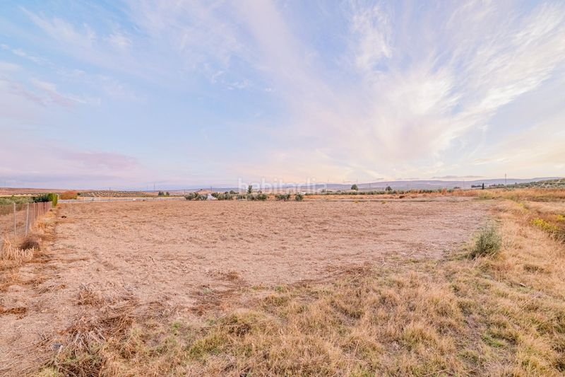 Foto a3925966-ec78-45e3-9648-afa50c76d964. Finca rústica a Escúzar