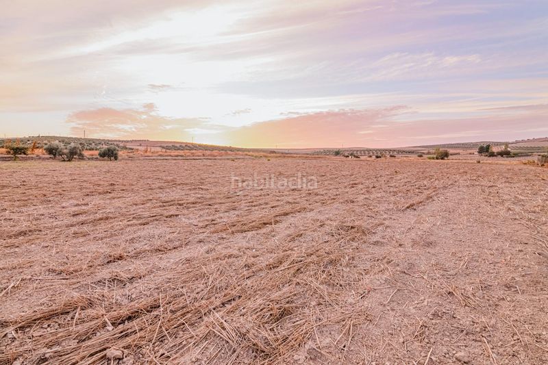 Foto a7f13c3e-0561-4882-b355-8b10ce27766b. Finca rústica a Escúzar