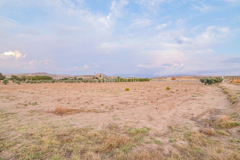 Foto bc0d0073-ce02-4d38-9e71-058f428a1272. Finca rústica a Escúzar