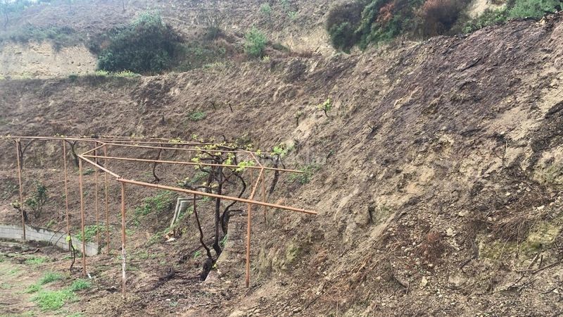 Foto ccfe1ab6-3cb2-4701-a846-fcb14d84898c. Masia a Valle (El)