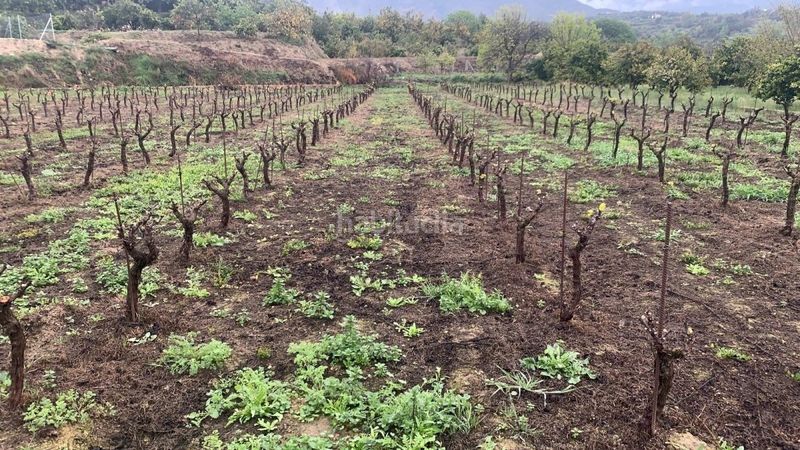 Foto d1ccfbb7-38a8-479d-a770-681675b07f0b. Masia a Valle (El)