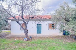Fondo rustico in Autovia pinos genil. Finca en pinos génil