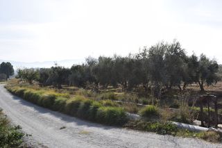 Finca rústica en LOS MOLINOS