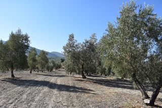 Finca rústica a Carretera DE DILAR